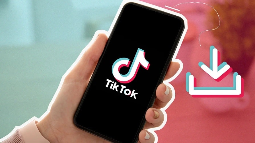 Take The TikTok watermark Off With SmallTik