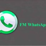 Download FM WhatsApp APK Latest Version